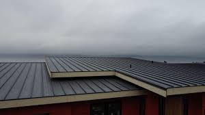 Best Roof Ventilation Installation  in Pasadena, TX